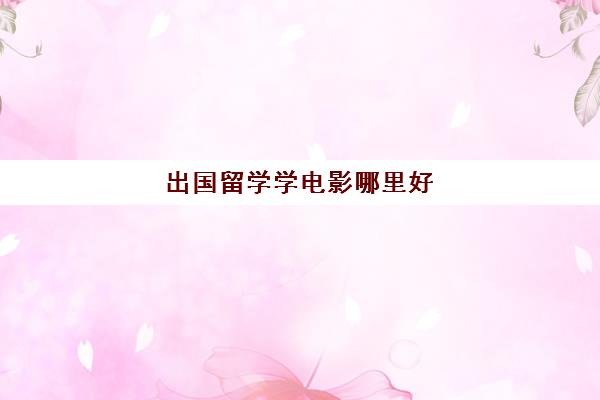 出国留学学电影哪里好(自己开大学的电影)