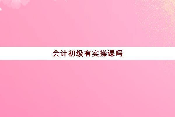 会计初级有实操课吗(初级会计能自学吗)