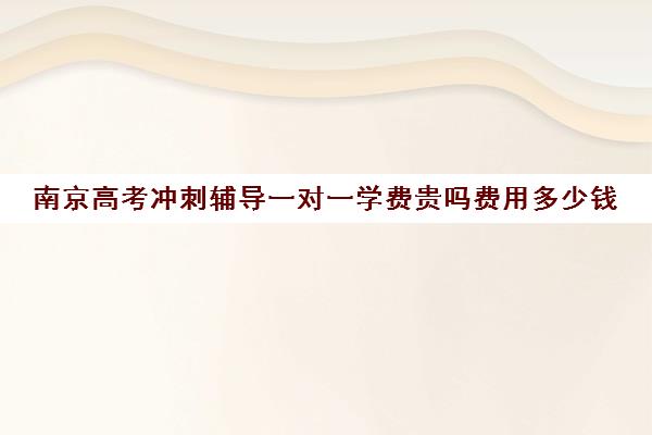 南京高考冲刺辅导一对一学费贵吗费用多少钱(精锐一对一收费标准)