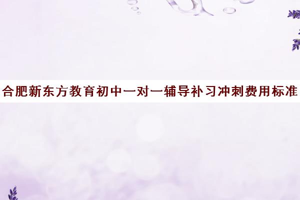 合肥新东方教育初中一对一辅导补习冲刺费用标准价格表