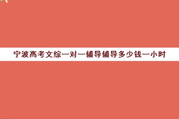 宁波高考文综一对一辅导辅导多少钱一小时(高考前一对一补课有效果吗)