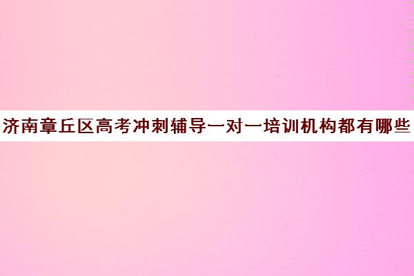 济南章丘区高考冲刺辅导一对一培训机构都有哪些(济南高中一对一辅导哪家好)