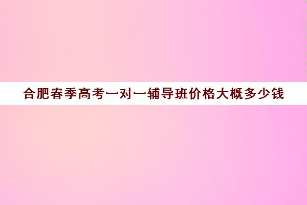 合肥春季高考一对一辅导班价格大概多少钱(合肥辅导班收费价目表)