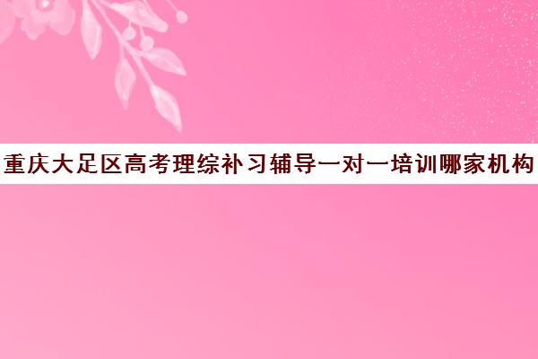 重庆大足区高考理综补习辅导一对一培训哪家机构好