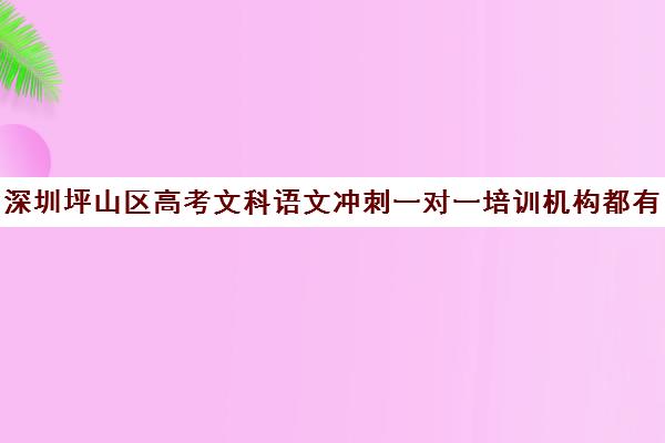 深圳坪山区高考文科语文冲刺一对一培训机构都有哪些(最好的高考培训机构)