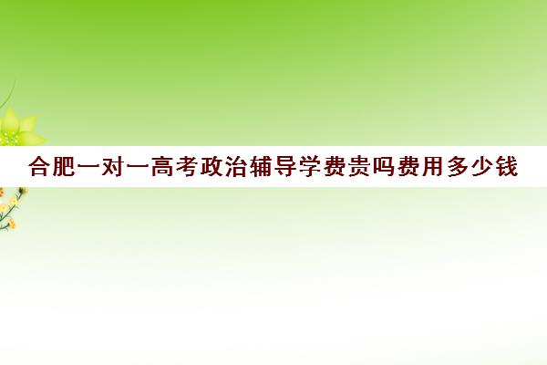 合肥一对一高考政治辅导学费贵吗费用多少钱(高考一对一辅导多少钱一小时)