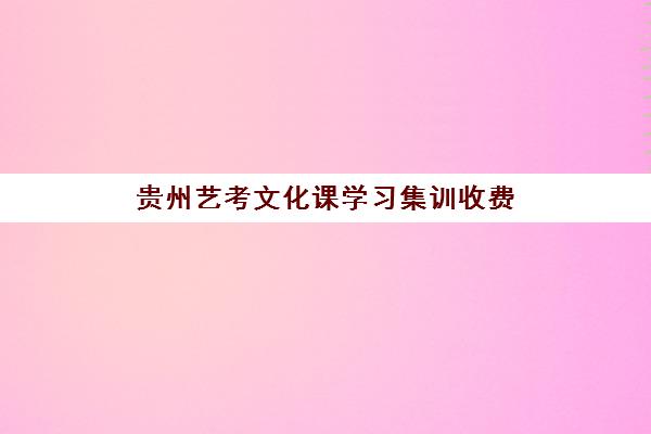 贵州艺考文化课学习集训收费