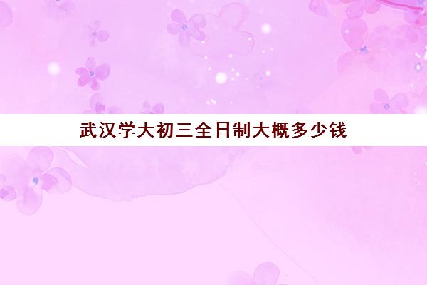 武汉学大初三全日制大概多少钱(武汉初中毕业就可以上的职业学校)