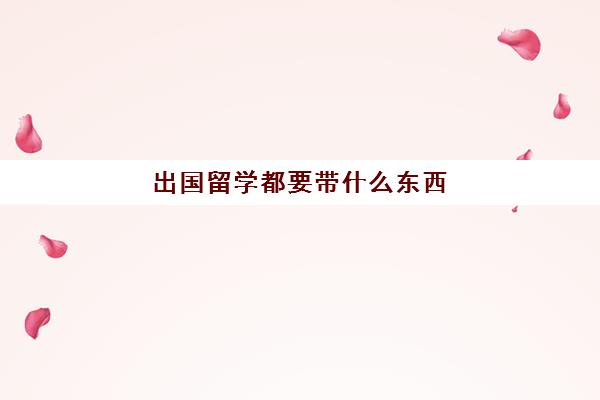 出国留学都要带什么东西(出国留学带多少现金合适)