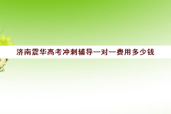 济南震华高考冲刺辅导一对一费用多少钱(高考冲刺班一般收费)