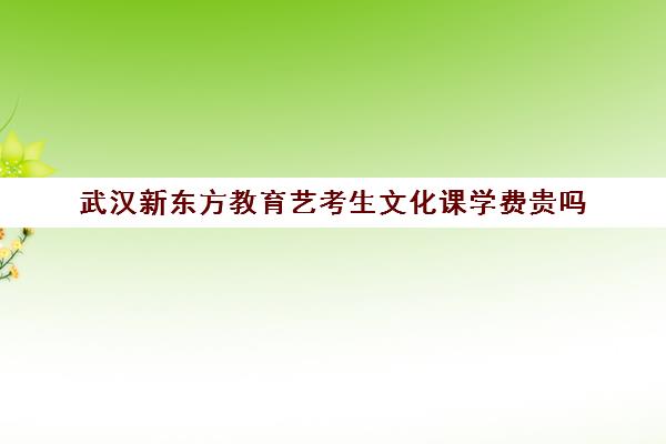 武汉新东方教育艺考生文化课学费贵吗(济南艺考生文化课需要多少分)