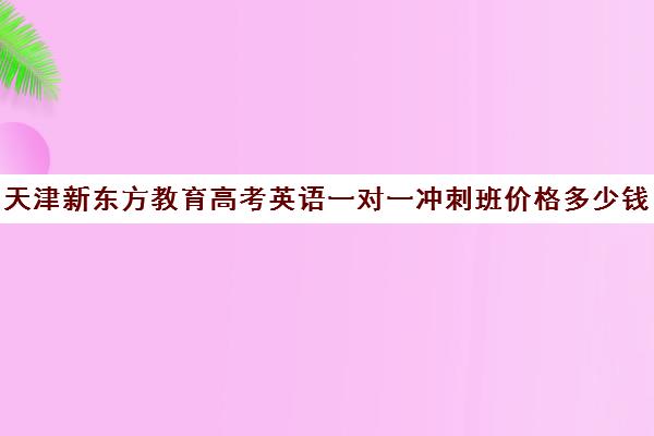 天津新东方教育高考英语一对一冲刺班价格多少钱(新东方高三一对一收费价格表)