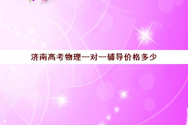 济南高考物理一对一辅导价格多少(一对一物理辅导老师多少钱)