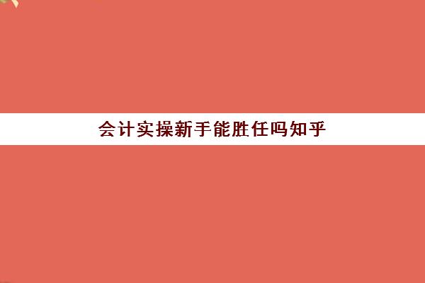 会计实操新手能胜任吗知乎(没学过会计直接工作难吗)