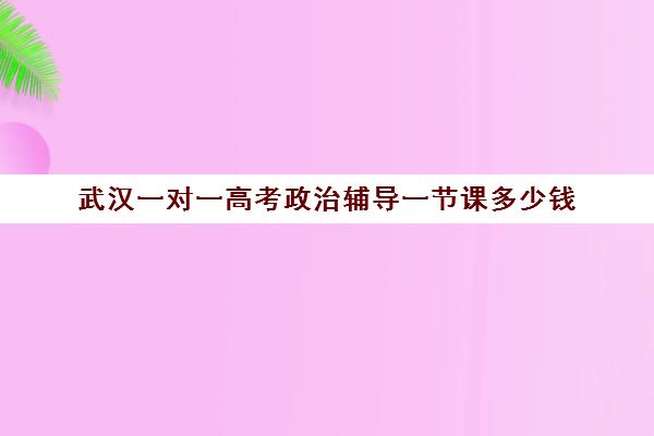 武汉一对一高考政治辅导一节课多少钱(武汉培优机构前十名)