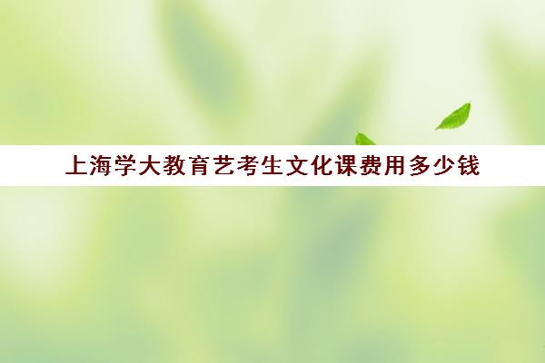 上海学大教育艺考生文化课费用多少钱（上海艺考分数和文化课分数怎么算）