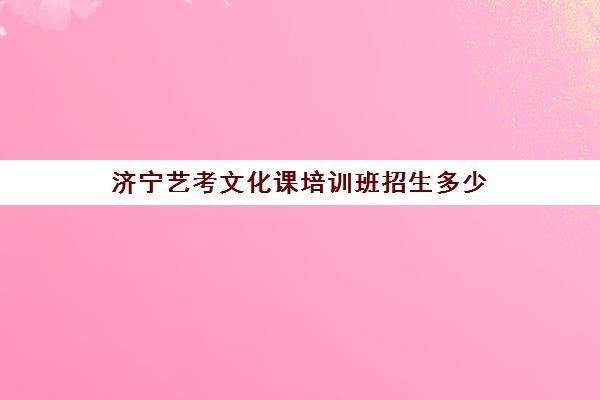 济宁艺考文化课培训班招生多少(济宁市区全天艺考文化课高三培训)