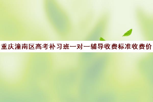 重庆潼南区高考补习班一对一辅导收费标准收费价目表