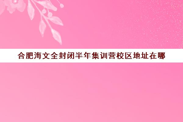 合肥海文全封闭半年集训营校区地址在哪（合肥高考冲刺班封闭式全日制）