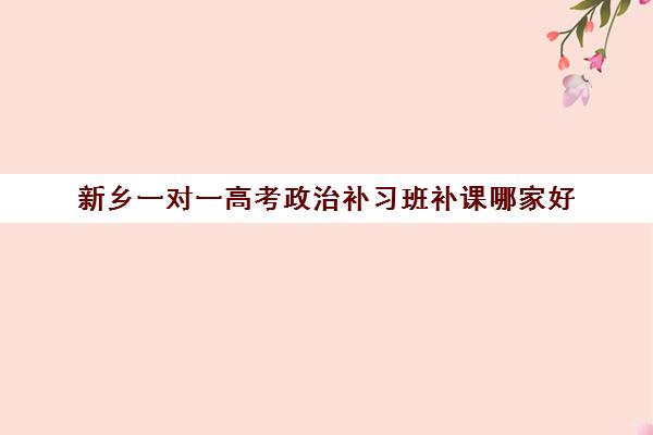 新乡一对一高考政治补习班补课哪家好