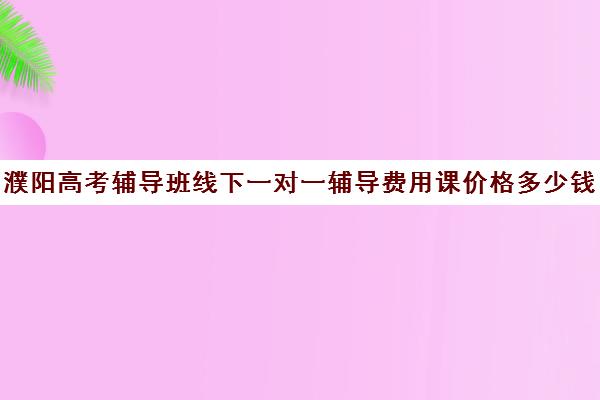 濮阳高考辅导班线下一对一辅导费用课价格多少钱(高三辅导一对一多少钱)