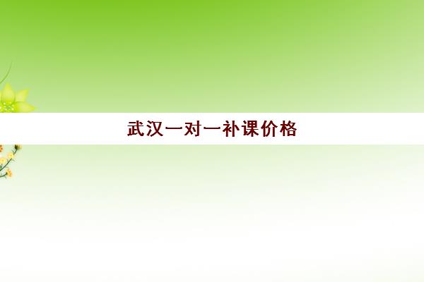 武汉一对一补课价格(一对一补课初中一般多少钱一小时)