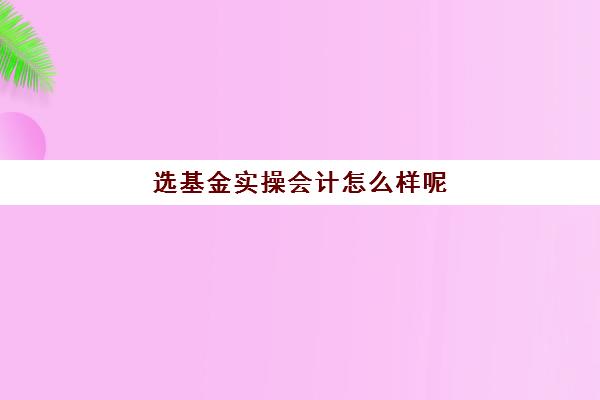 选基金实操会计怎么样呢(基金考哪两科比较好考)