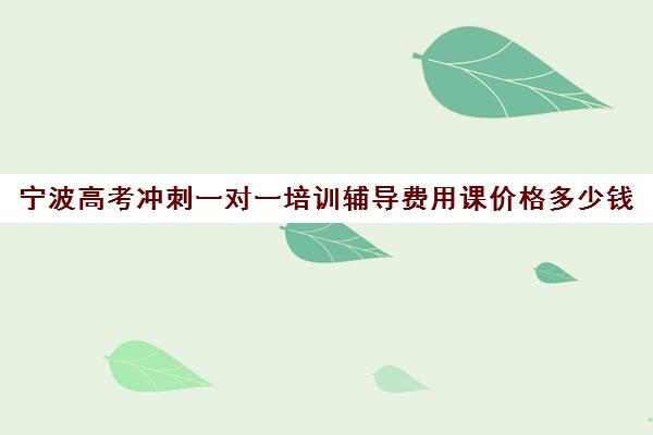 宁波高考冲刺一对一培训辅导费用课价格多少钱(宁波一对一家教收费标准)