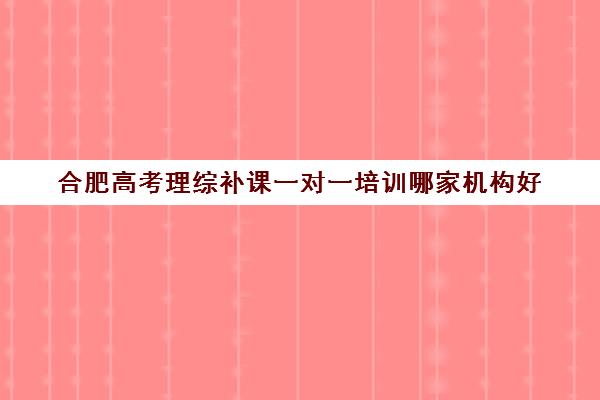 合肥高考理综补课一对一培训哪家机构好(高考一对一辅导机构哪个好)