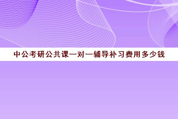 中公考研公共课一对一辅导补习费用多少钱