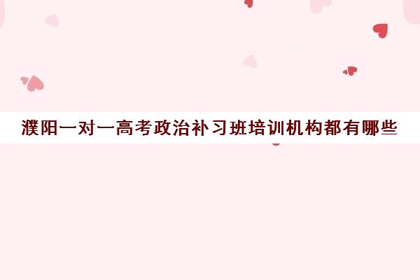 濮阳一对一高考政治补习班培训机构都有哪些