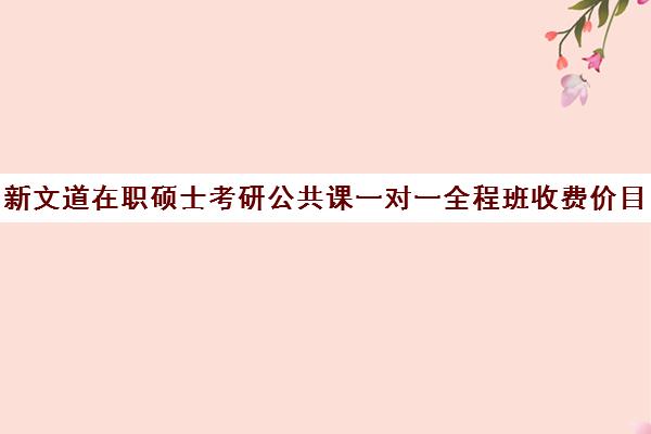 新文道在职硕士考研公共课一对一全程班收费价目表（广州新文道考研）