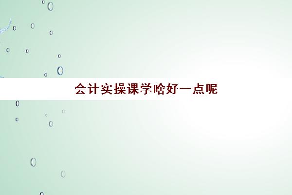 会计实操课学啥好一点呢(会计初学者的入门知识基础教程)