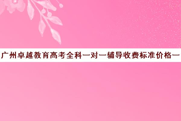 广州卓越教育高考全科一对一辅导收费标准价格一览(广州卓越教育培训中心)