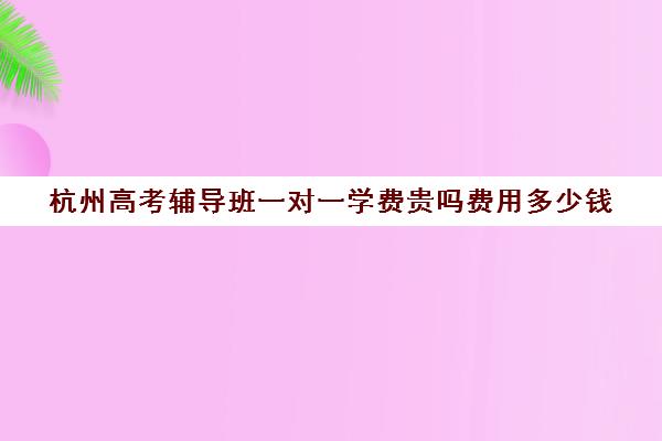 杭州高考辅导班一对一学费贵吗费用多少钱(浙江一对一辅导价格)