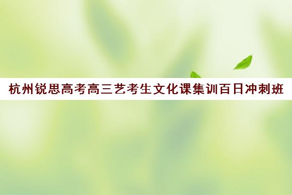 杭州锐思高考高三艺考生文化课集训百日冲刺班(杭州艺考培训机构排名榜)