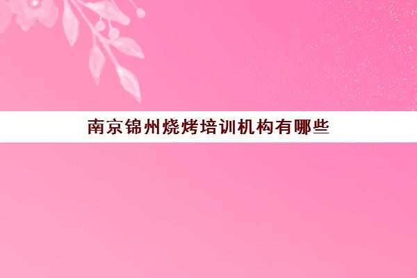 南京锦州烧烤培训机构有哪些(南京哪里有烤鸭培训)