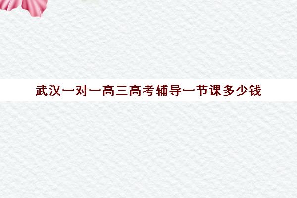 武汉一对一高三高考辅导一节课多少钱(武汉一对一辅导)