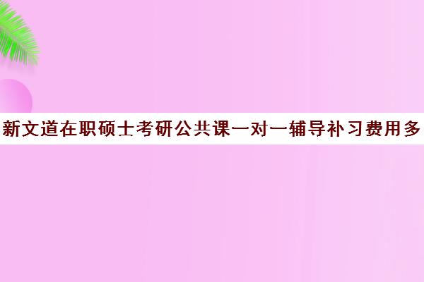 新文道在职硕士考研公共课一对一辅导补习费用多少钱