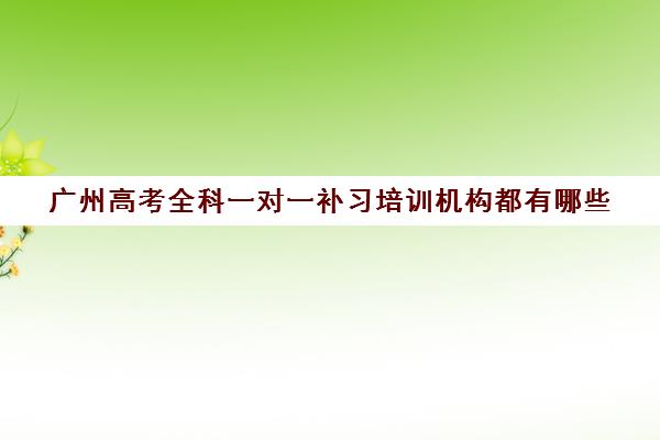 广州高考全科一对一补习培训机构都有哪些