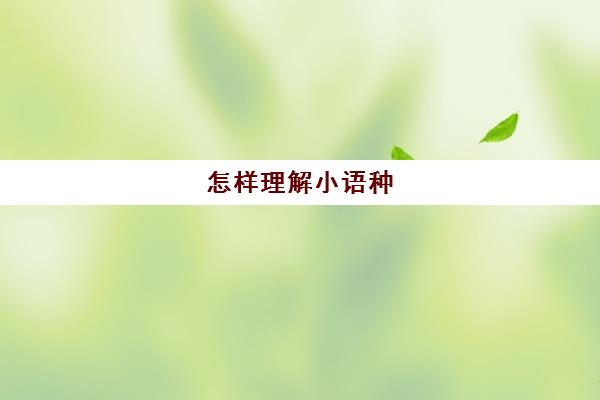 怎样理解小语种(小语种可以自学吗)