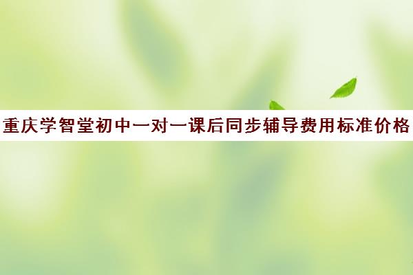 重庆学智堂初中一对一课后同步辅导费用标准价格表(初中补课一对一收费标准)