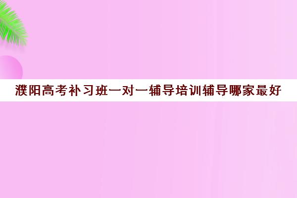 濮阳高考补习班一对一辅导培训辅导哪家最好