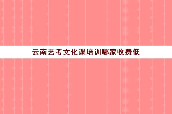 云南艺考文化课培训哪家收费低(昆明艺考集训学校有哪些)