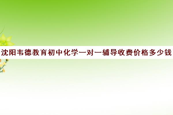 沈阳韦德教育初中化学一对一辅导收费价格多少钱(初三化学补课一对一)