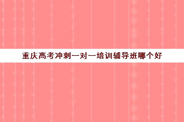 重庆高考冲刺一对一培训辅导班哪个好(高考一对一辅导机构哪个好)