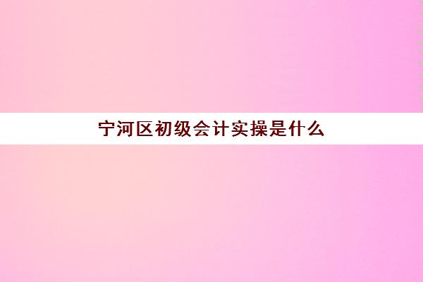 宁河区初级会计实操是什么(初级会计怎么考试流程)