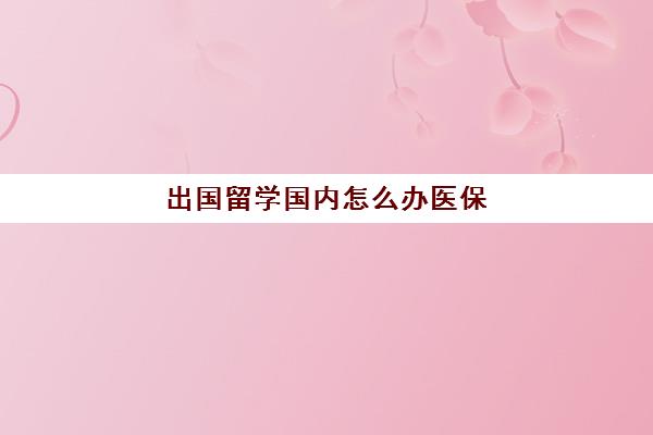 出国留学国内怎么办医保(出国留学期间国内医保)