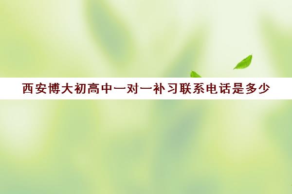 西安博大初高中一对一补习联系电话是多少