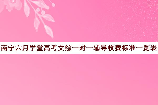 南宁六月学堂高考文综一对一辅导收费标准一览表（南宁高考培训机构排名榜）